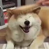 🙂