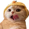 😋