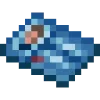 🪪