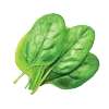 🥬
