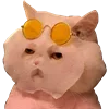 😎