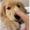 🥰