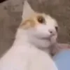😧