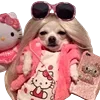 😎