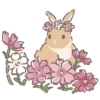 🐰