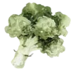 🥦