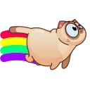 🌈