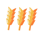 🌾