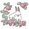 🐰
