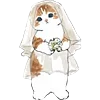 👰