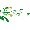 🌿