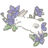 🐰