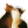 💋