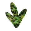 🌿