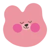 🐻