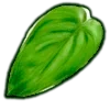 🍃