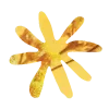 🌼