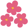 🌺