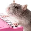 🎹