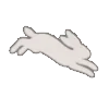 🐇