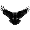 🐦‍⬛