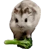 🐹