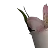 💐