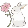 🌷