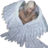 🙏