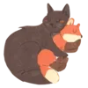 🐈‍⬛