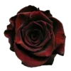 🥀