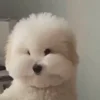 😐