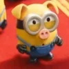 🐽