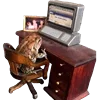 🖥