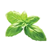 🥬