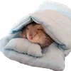 😴