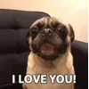 ❤