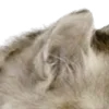 ⭐