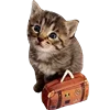 💼
