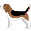 🐕