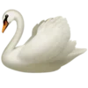 🦢
