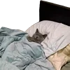 🛏