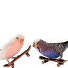 🛹