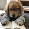 🤓