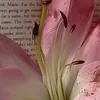 💐