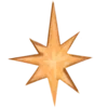🌟