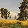 🌾