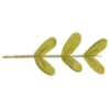 🌿