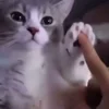 🥰