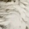 ⭐